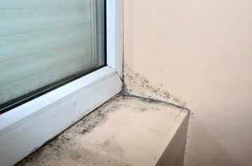Mold removal by Structure Medic
