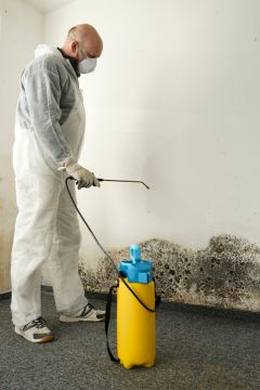 Kennesaw Mold Removal Prices by Structure Medic