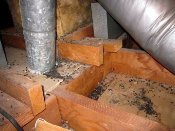 Crawl Space Restoration by Structure Medic
