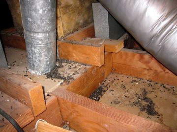 Crawl Space Restoration in Avondale Estates, Georgia