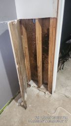 Mold Remediation & Water Damage Restoration in Brookhaven, GA (7)