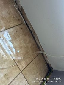 Mold Remediation & Water Damage Restoration in Brookhaven, GA (3)