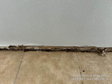 Mold Remediation & Water Damage Restoration in Brookhaven, GA (4)