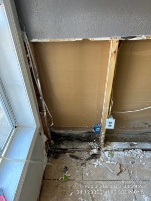 Mold Remediation & Water Damage Restoration in Brookhaven, GA (6)